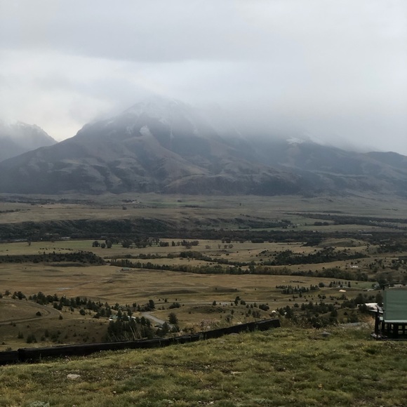 Meet your Posher, Demi - Picture 2 of 11